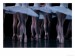 845620~Ballet-Live-Performance-Posters.jpg